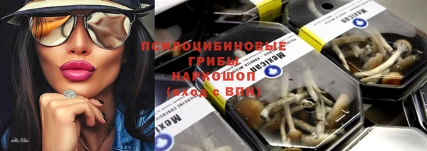 меф Няндома