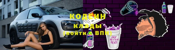 индика Осташков