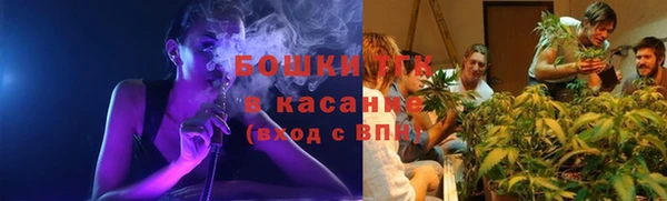 меф Няндома