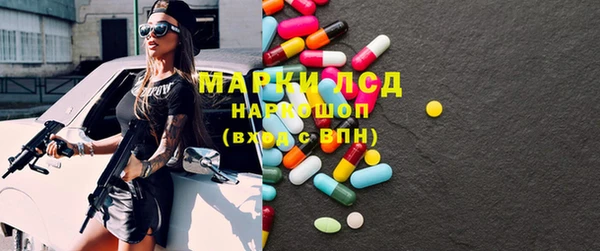 индика Осташков