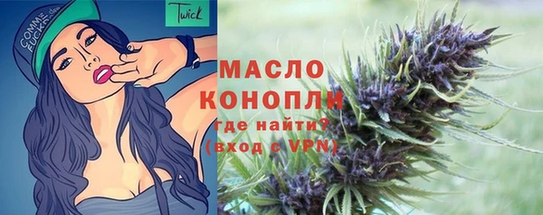 индика Осташков