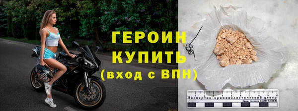 индика Осташков