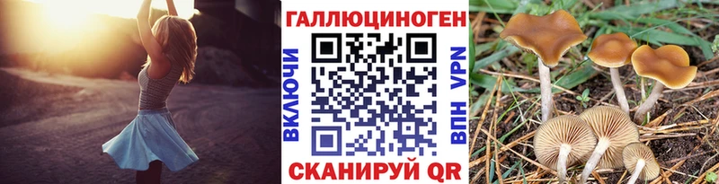 Псилоцибиновые грибы мухоморы  Кувшиново 
